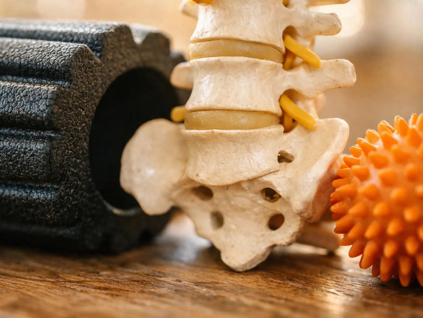 Close-up of a spine model with yellow nerve roots beside a black foam roller and orange massage ball