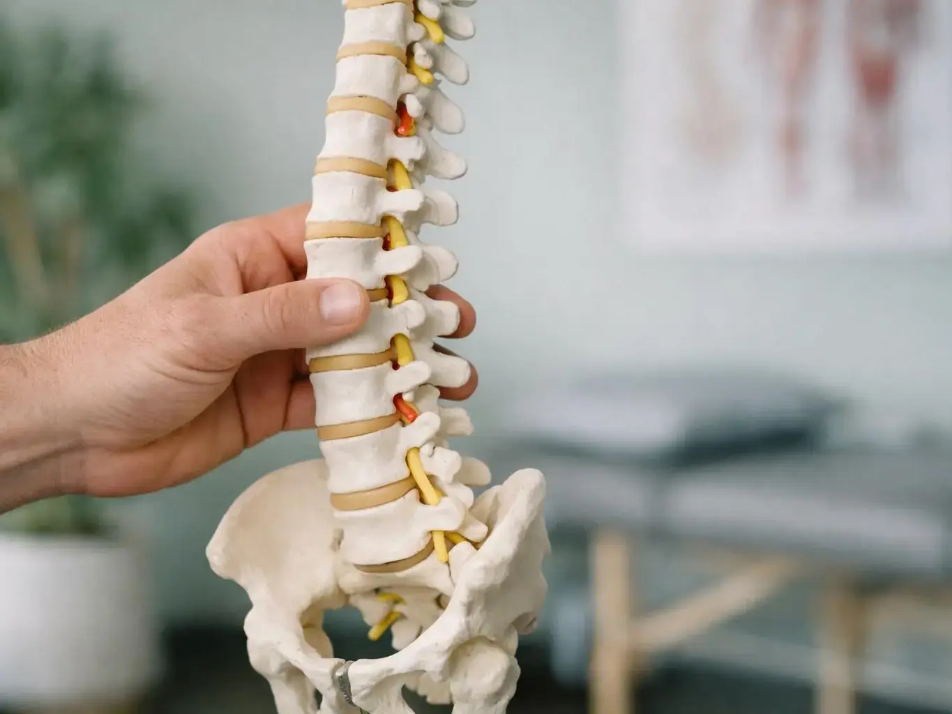 Y-Strap Adjustment in Chiropractor—Brentwood